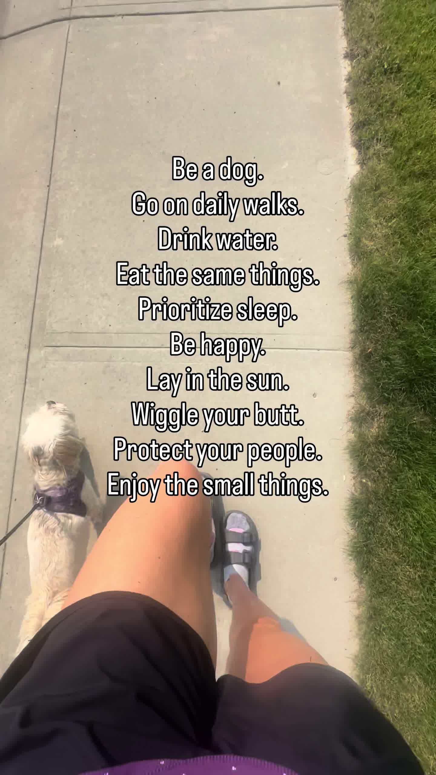 @dani.legacy.wellness