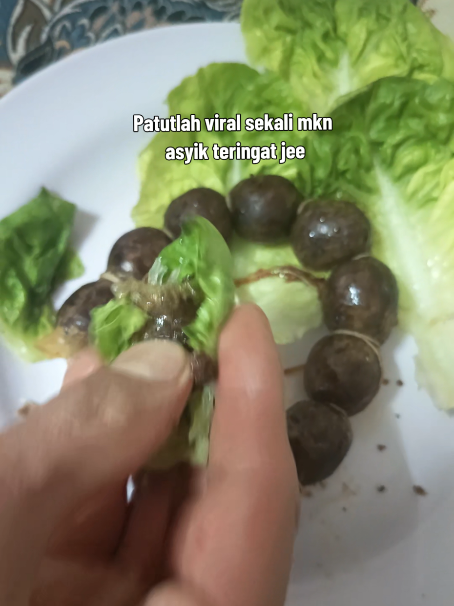 @Afeeya Anak Ibu