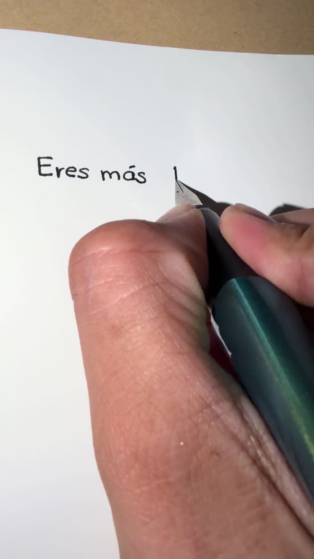 @crisfecnotas🌙