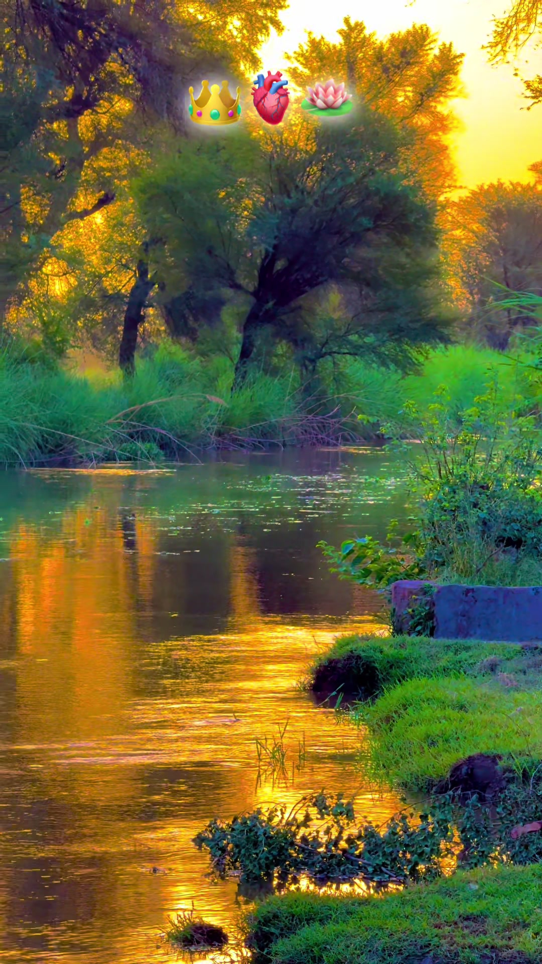 @پنجابی کلچر 🌾🍂