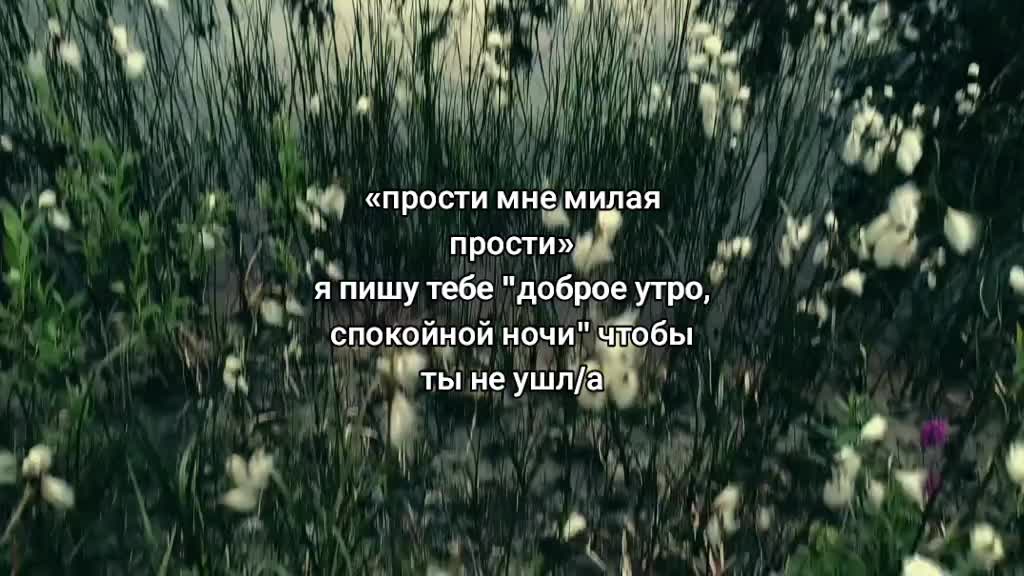 @стояк олега