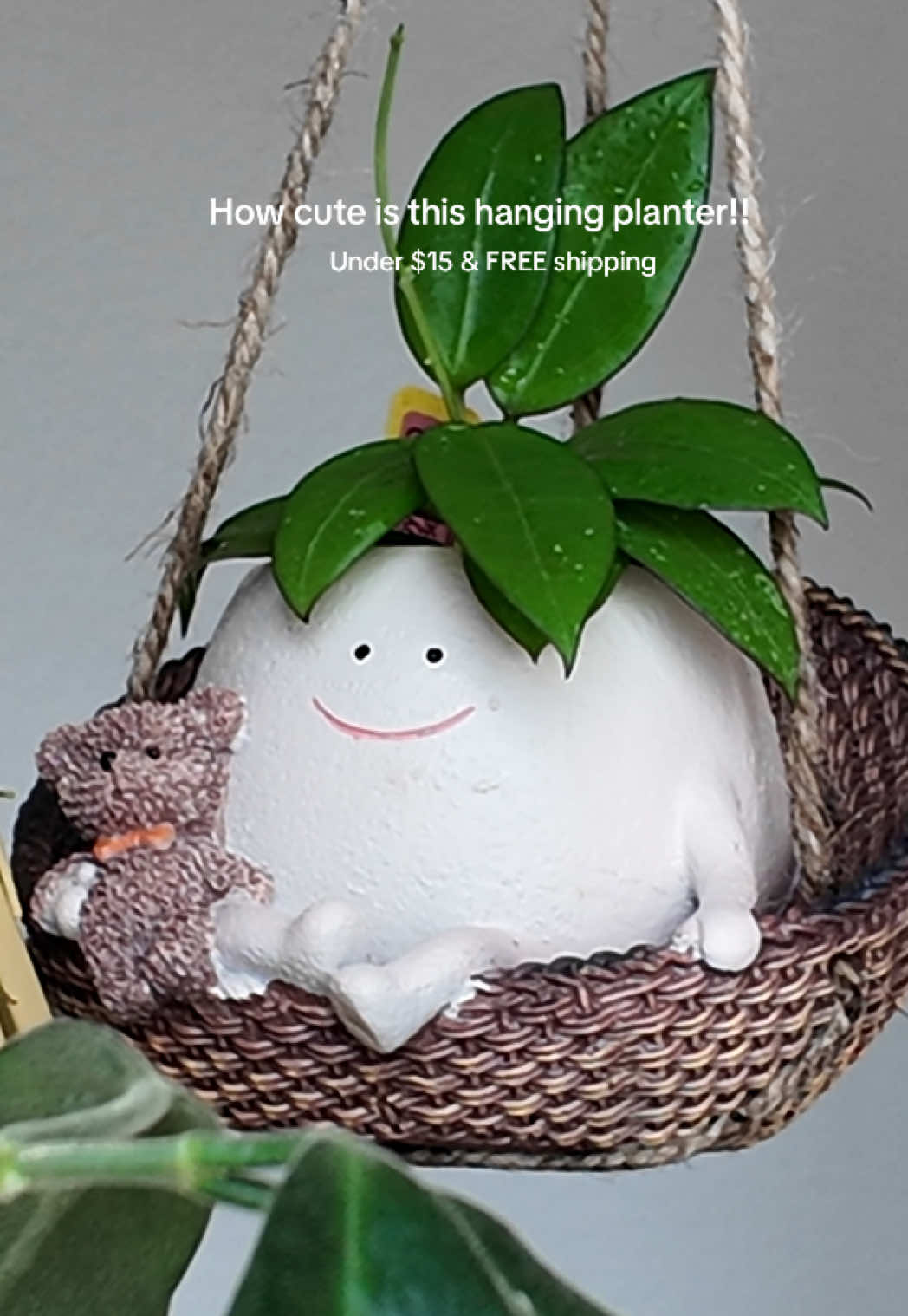 @Erin | Plants + Lifestyle