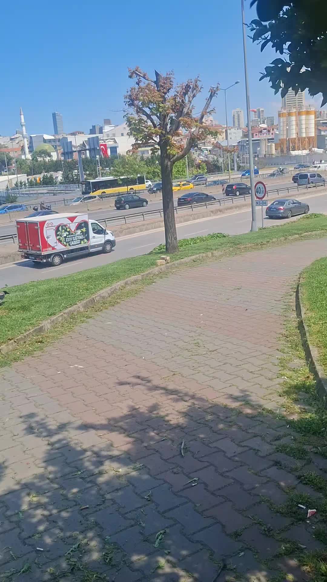 @nazlı