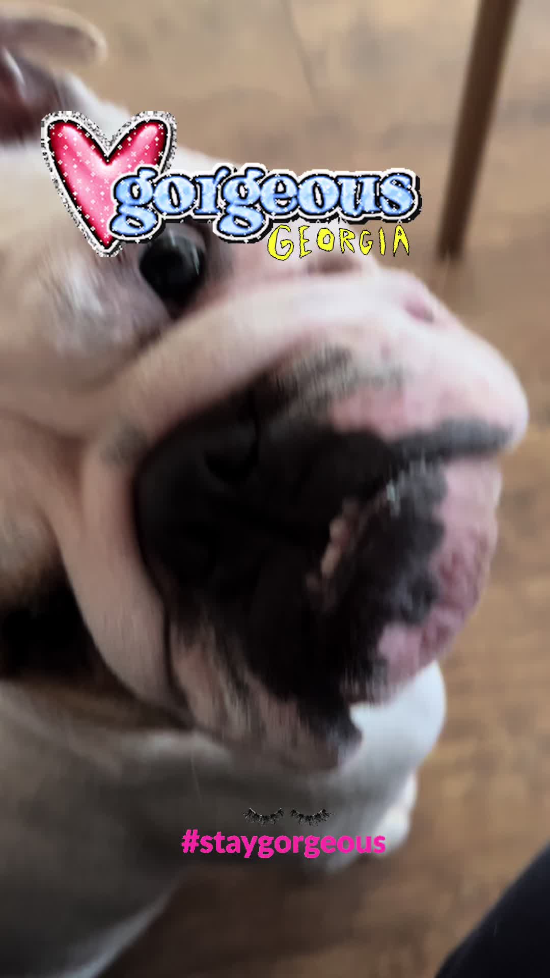 @allaboutblueberry