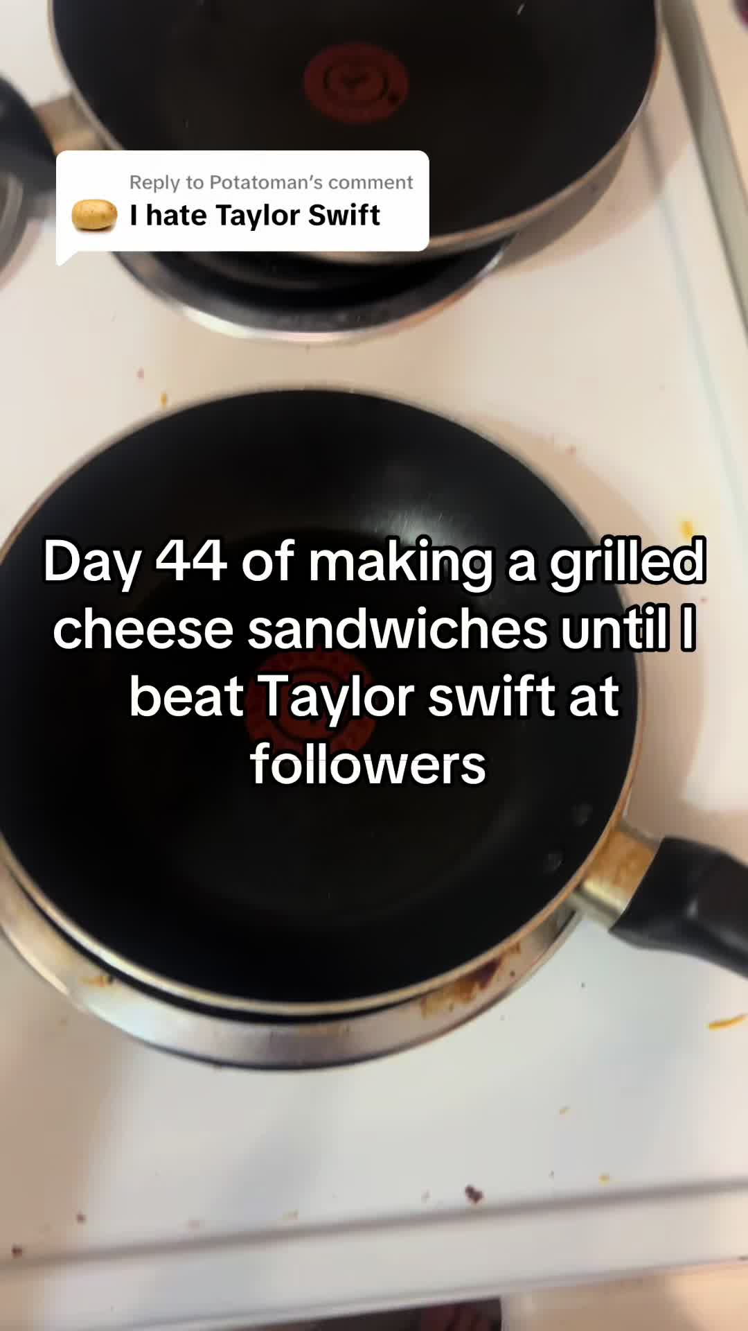@BiggestTaylorSwiftHater