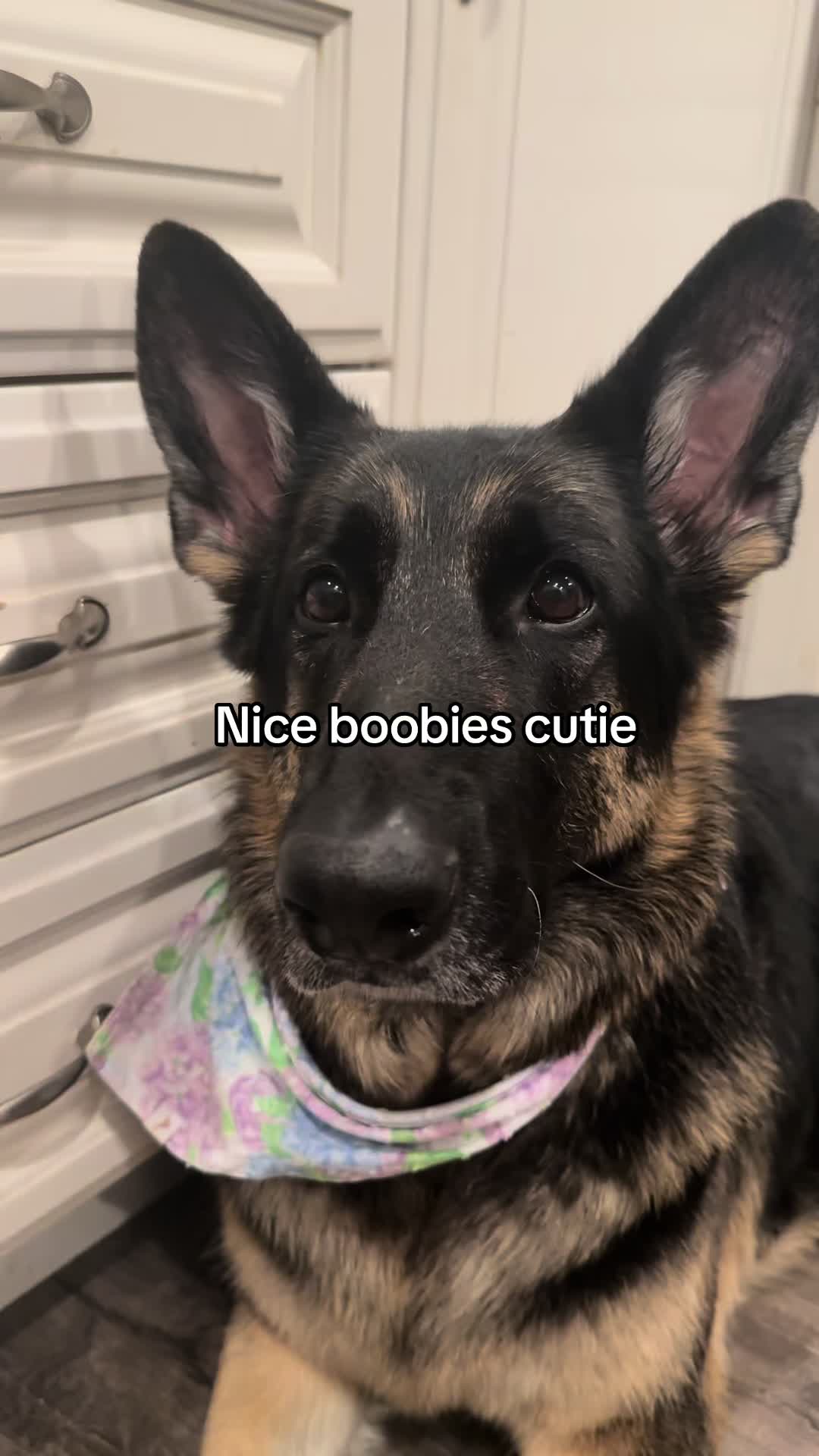 @Bhris