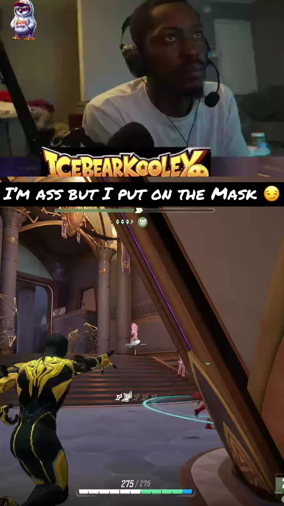 @icebearkooley