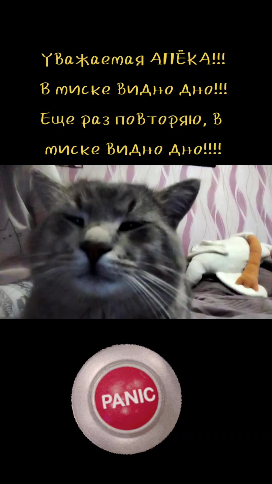 @olgayakovleva90