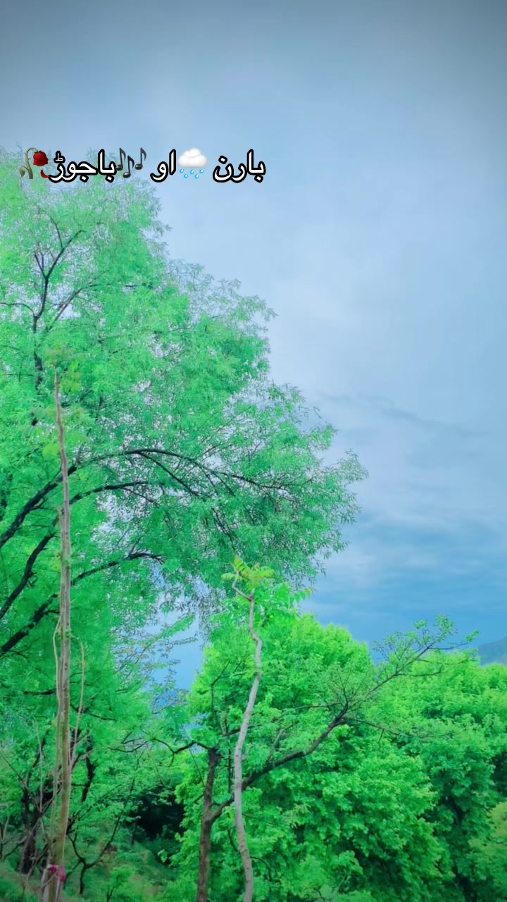 @sajidkhan1414
