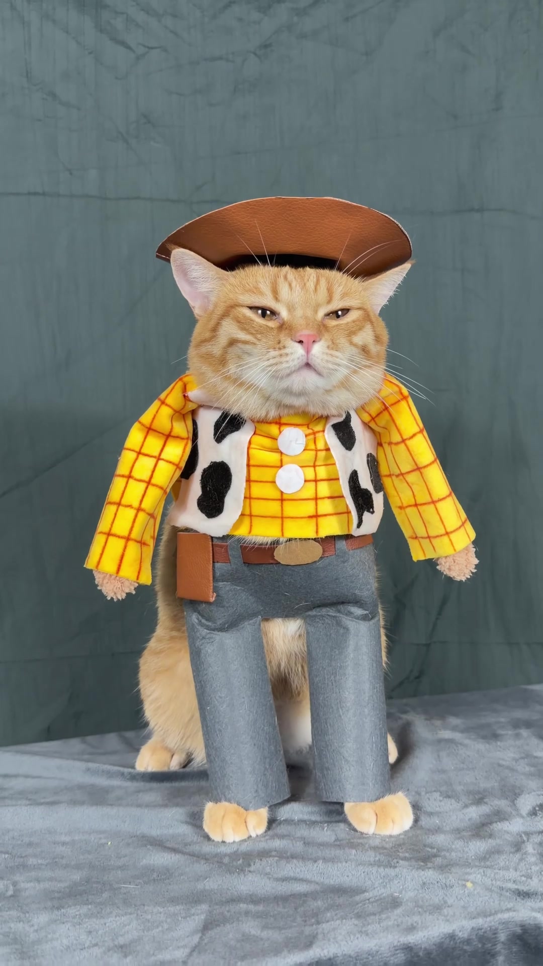@MoewaiiCat