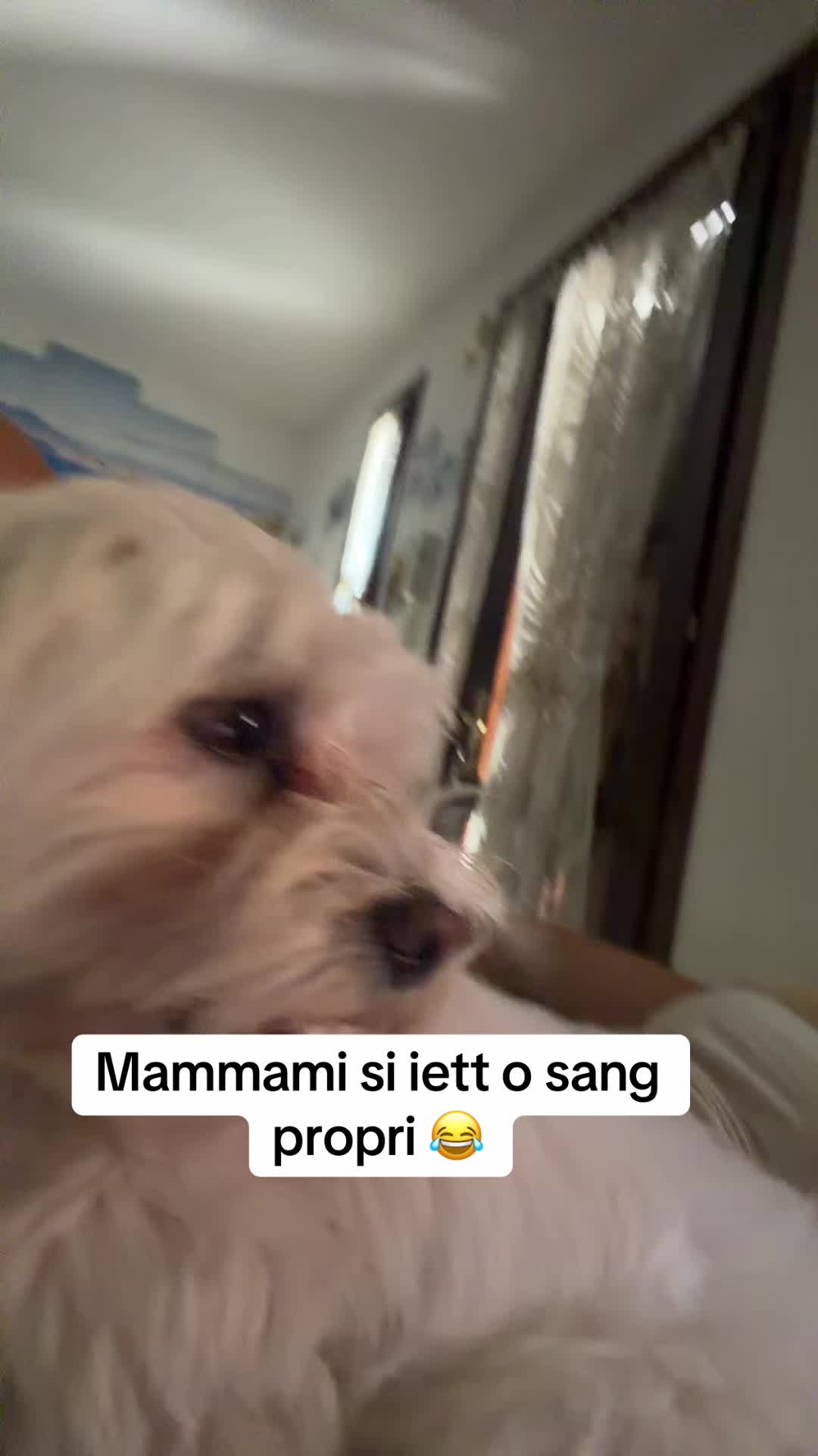 @Nicoletta Sodano
