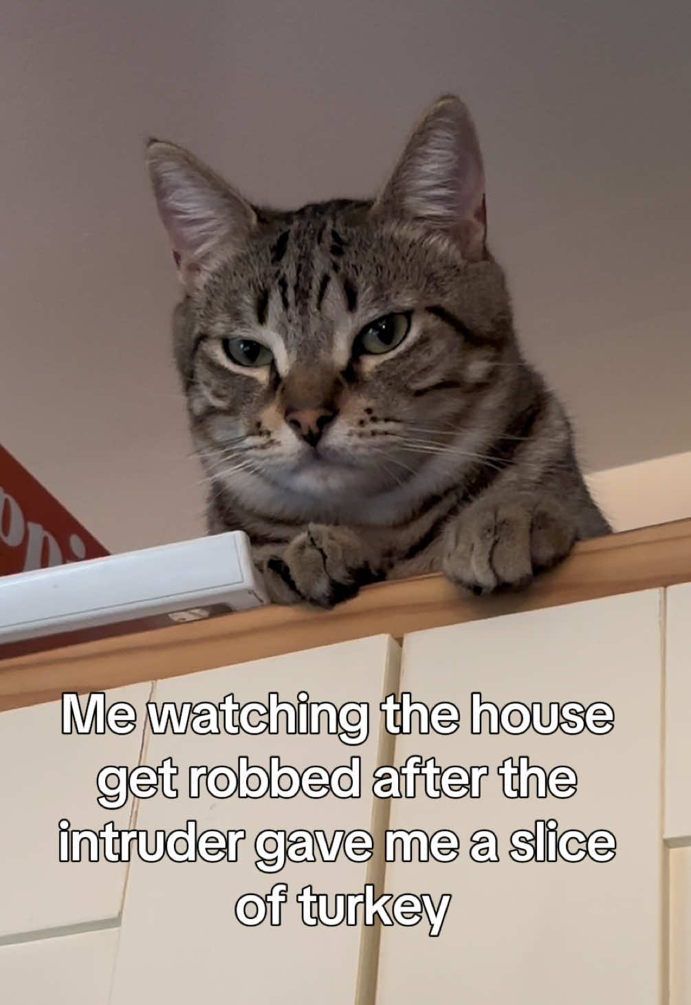 @Meowster_World