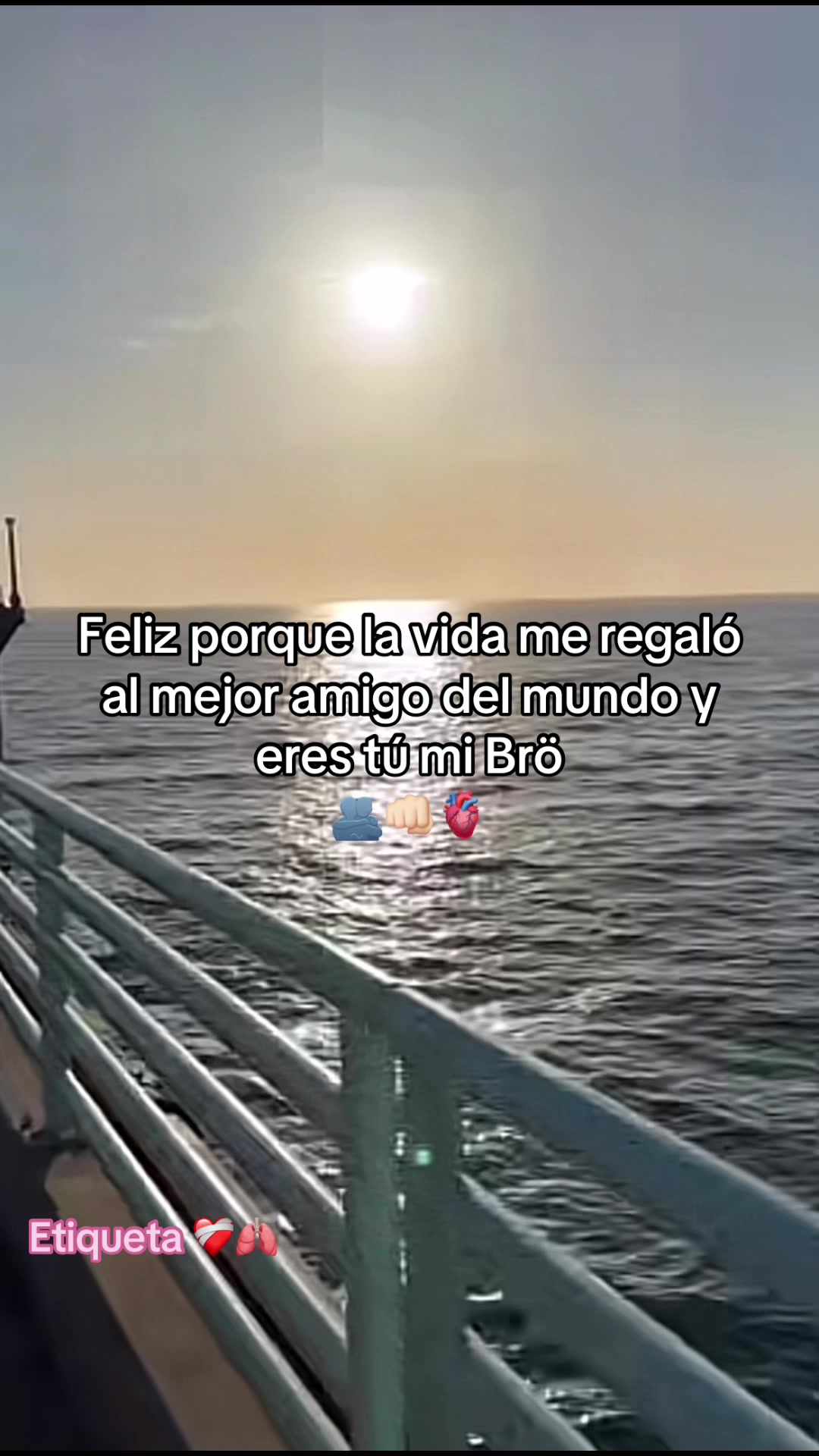 @Cruz ☘️Frases