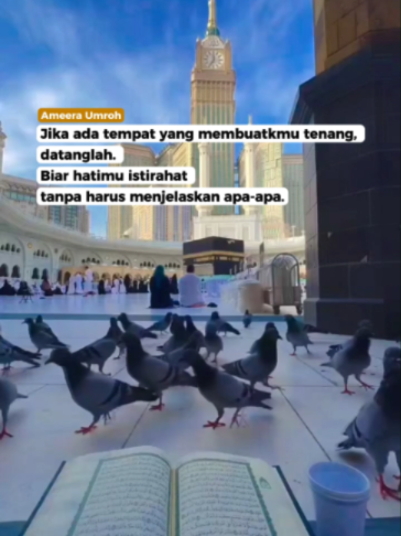 @Ameera | Biro Umroh & Haji