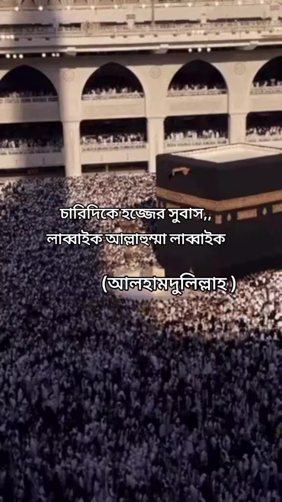 @ওয়াজিহার আম্মু