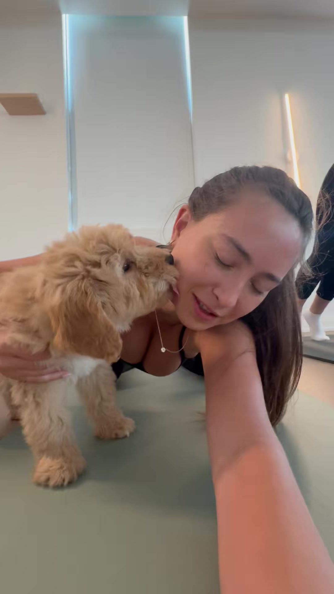 @Cece Rose