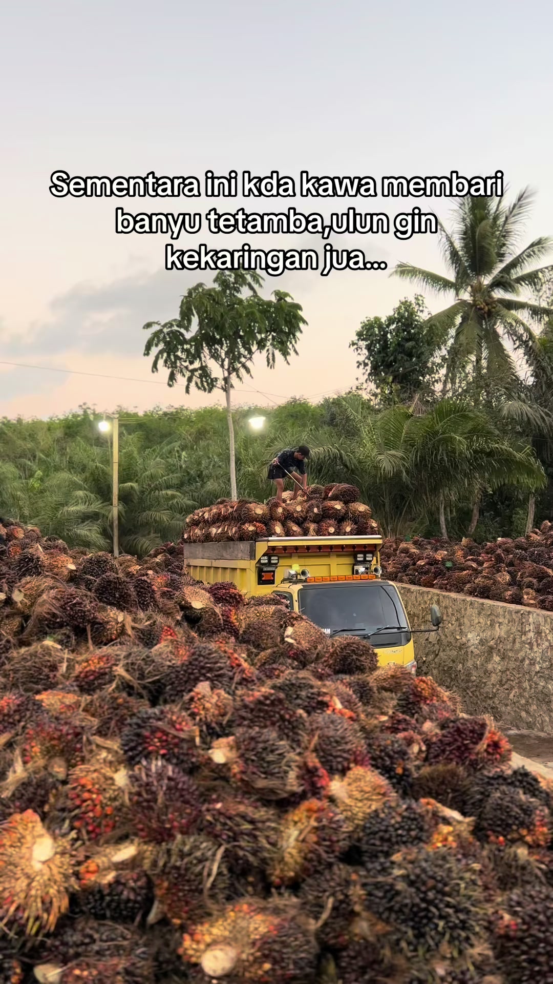 @izzul