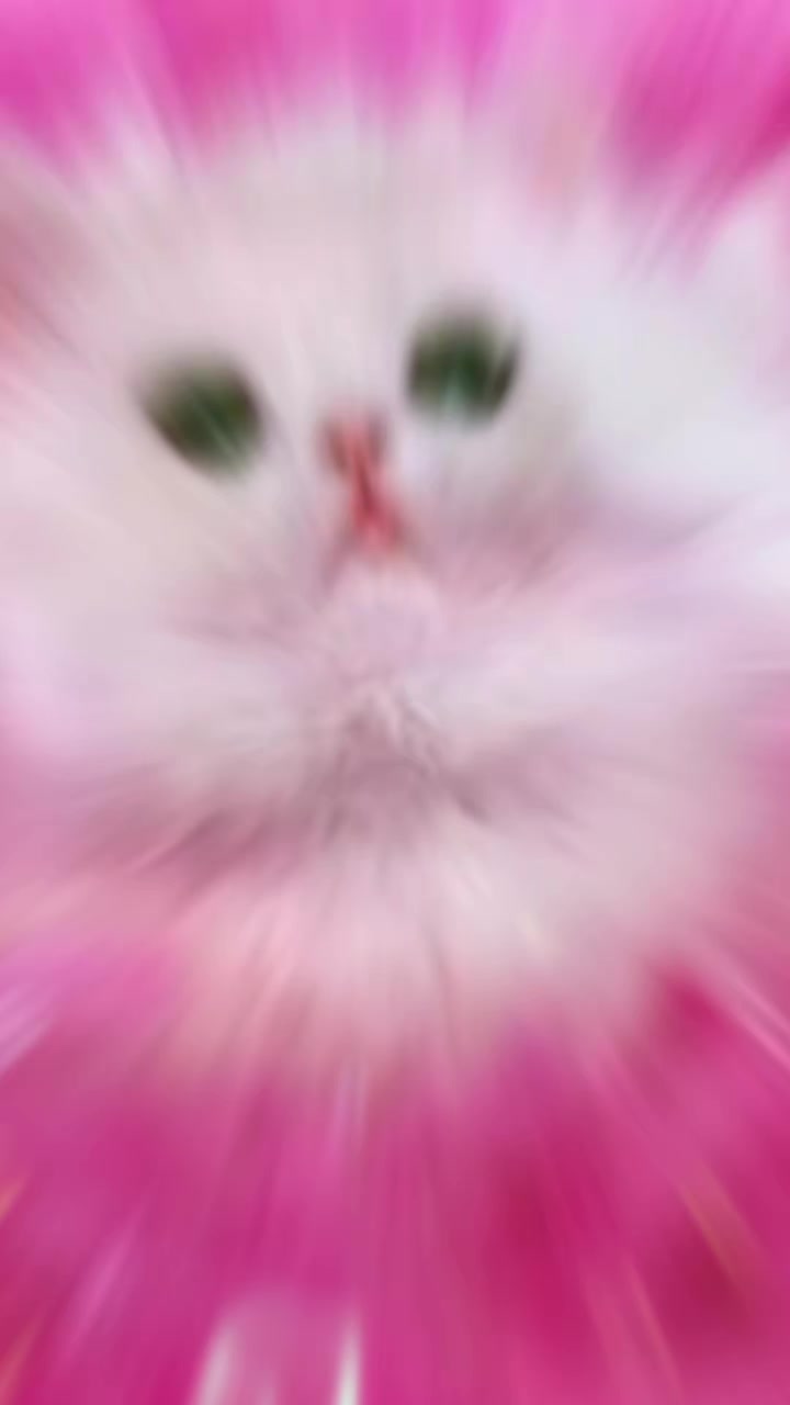 @๐ฉท tiktok ๐ฉท ุดู
ุณ ๐ฉท