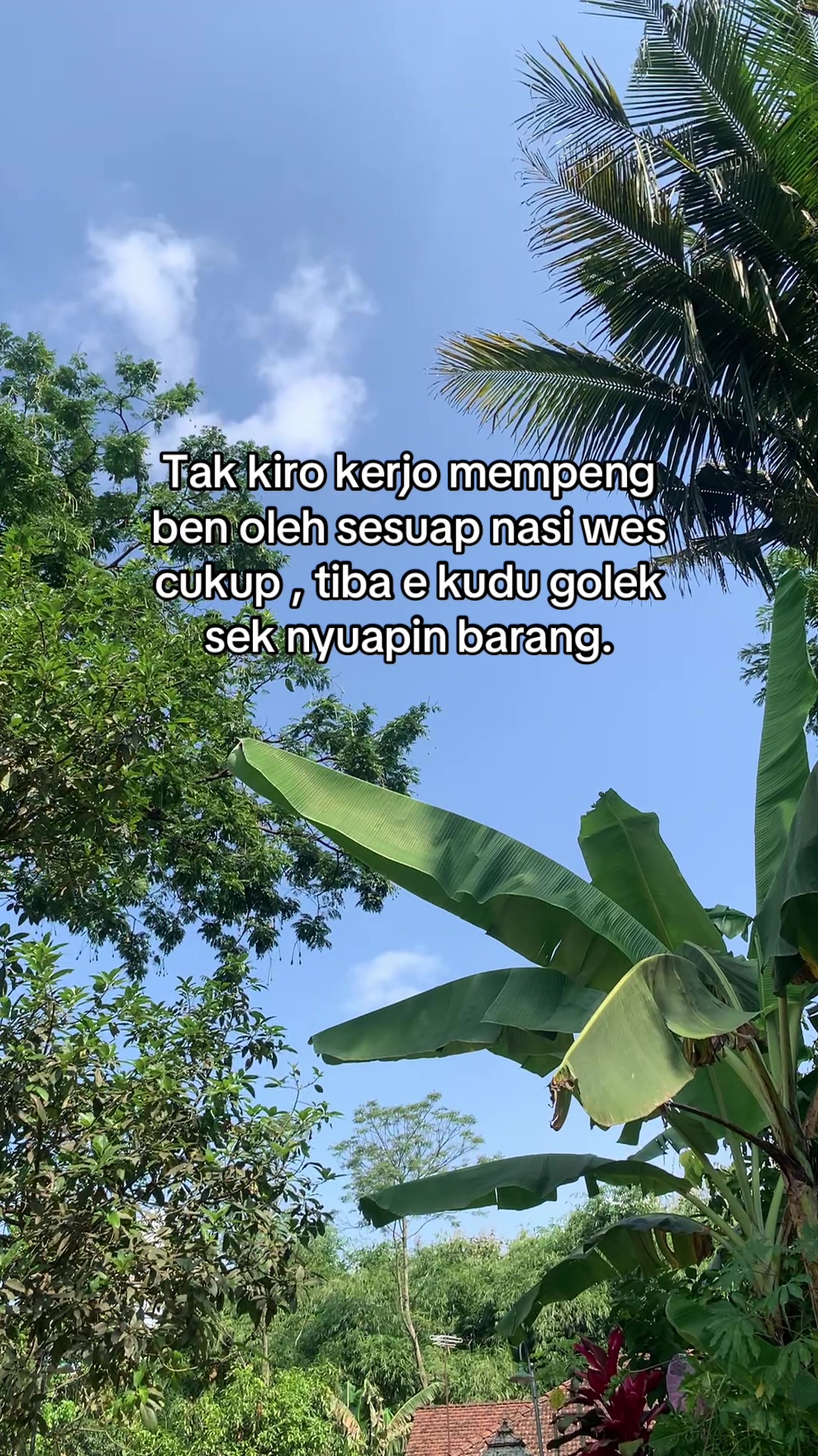 @Kadal Buluk 🦎