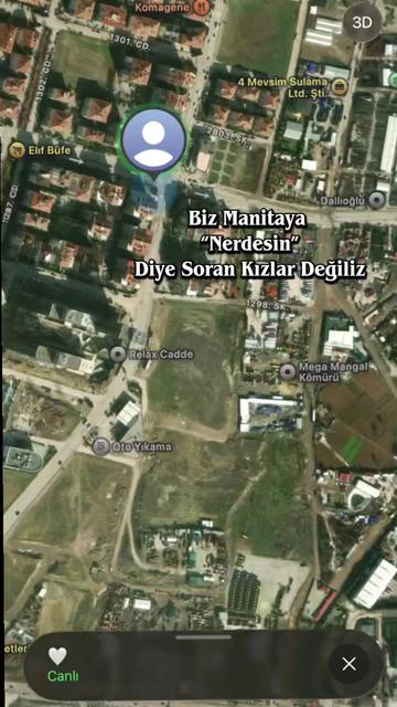 @Naz Şahin