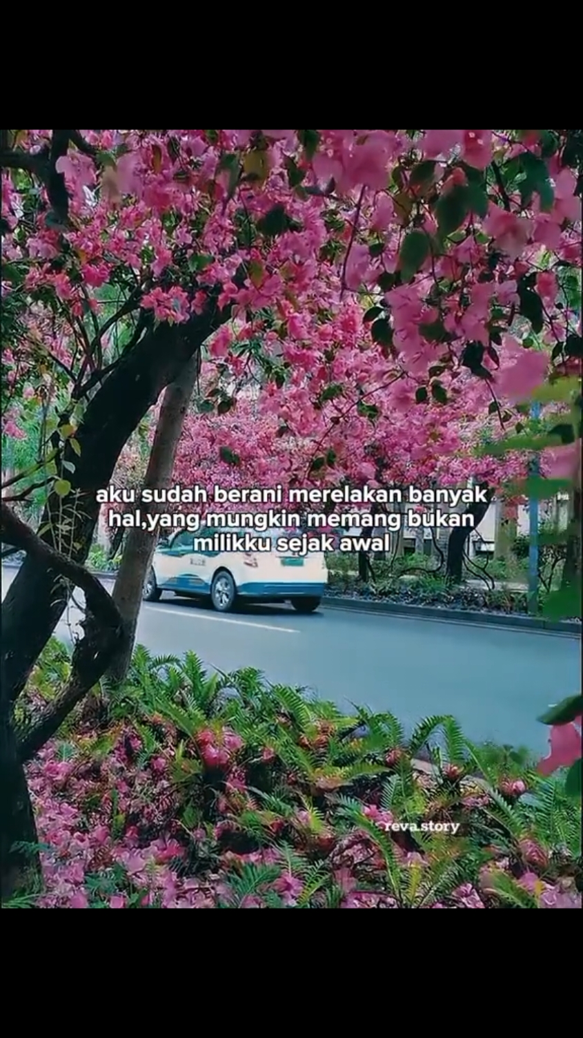 @AmiZahraiN