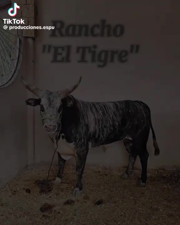 @rancho el jitomatal