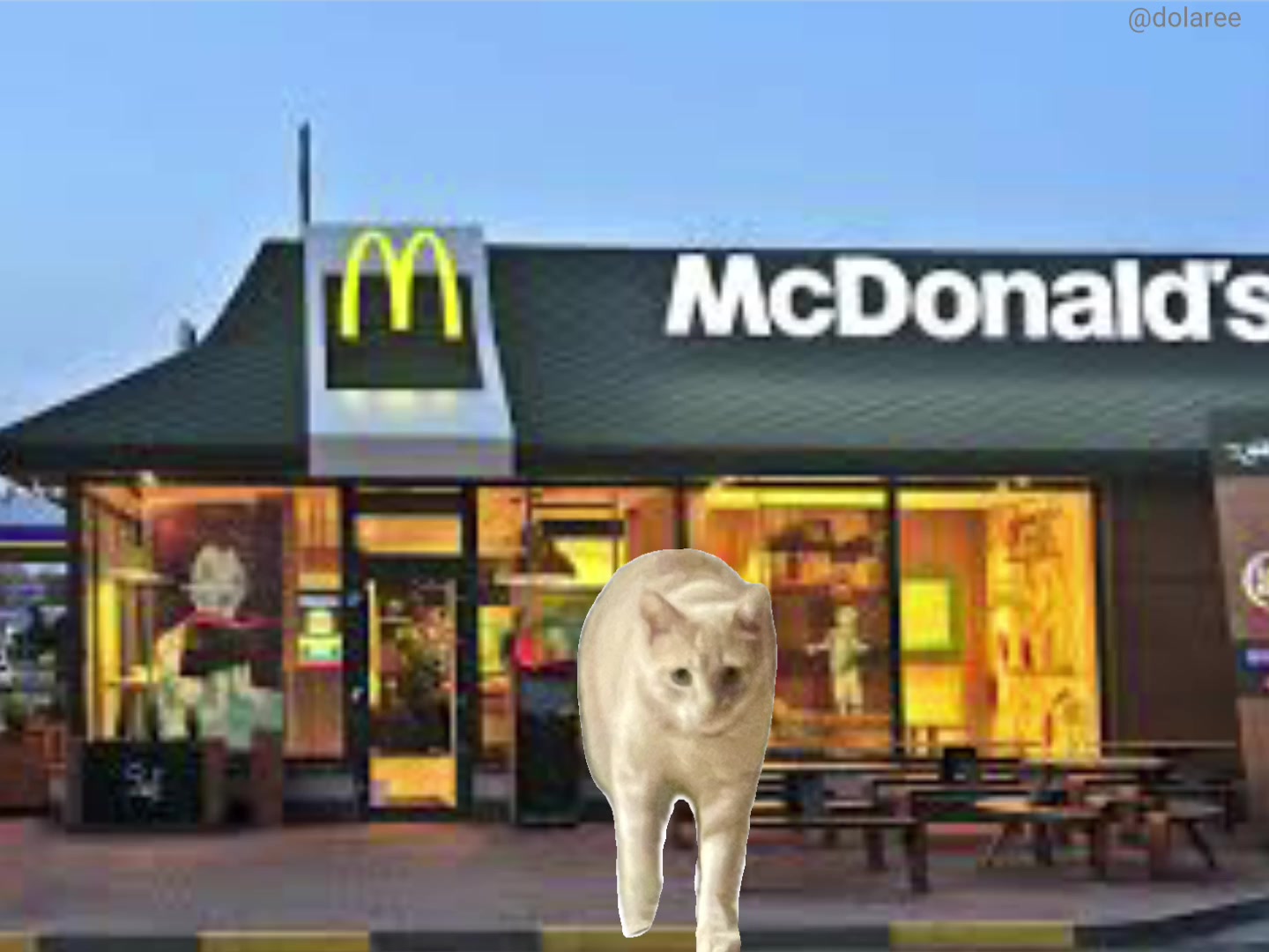 @meowster2008