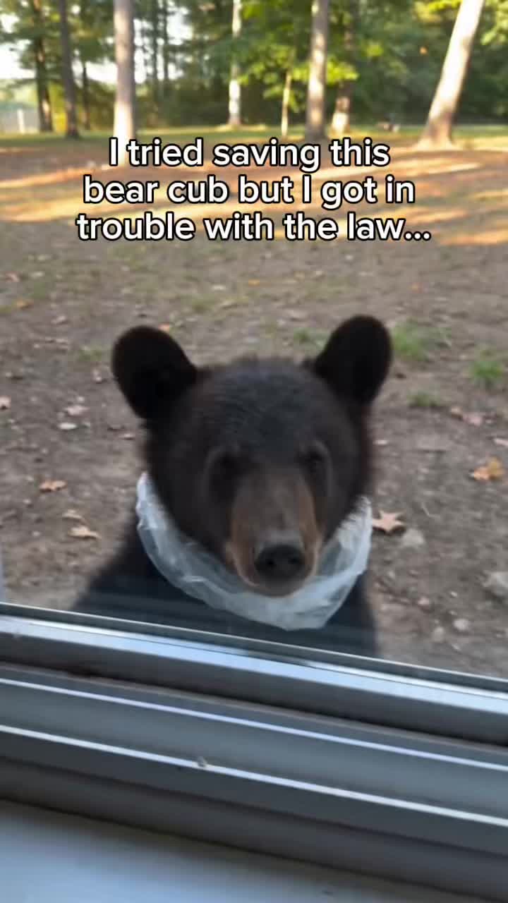 @StoriezTold 🐶