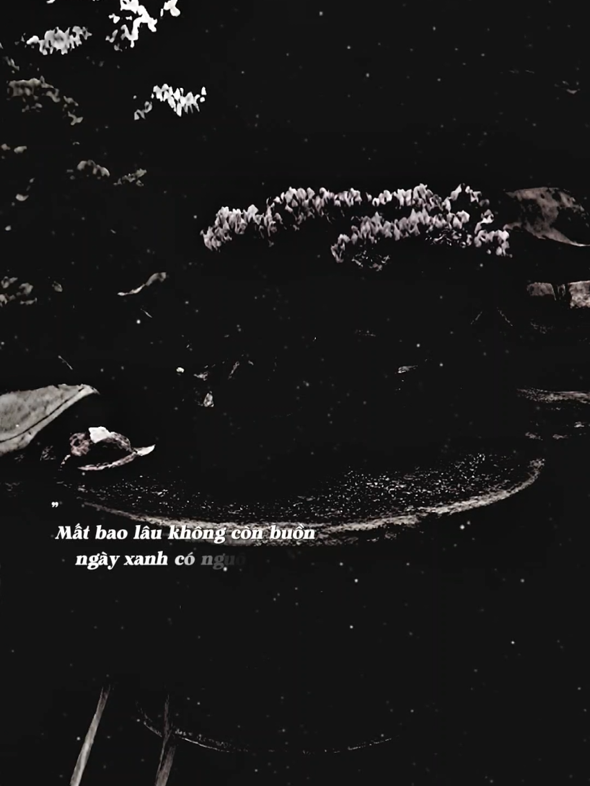 @𝐓𝐫ạ𝐦𝐌𝐮𝐬𝐢𝐜🎧