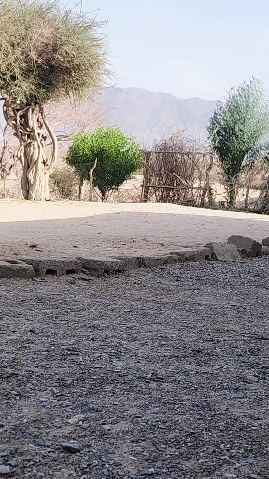 @الشاعر عبدالله مجرد الغنيمي