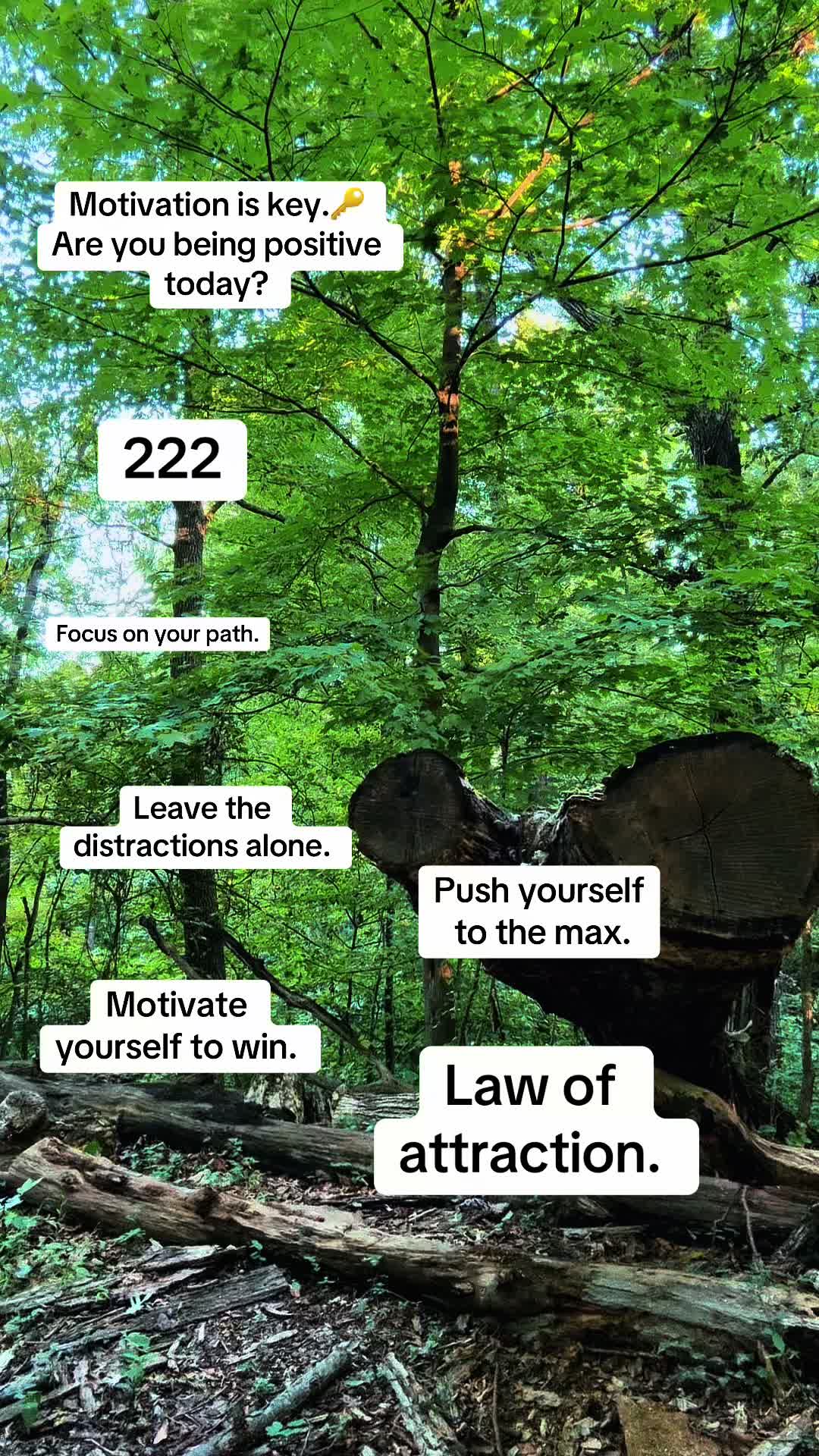 @ThePharmDHealer ®