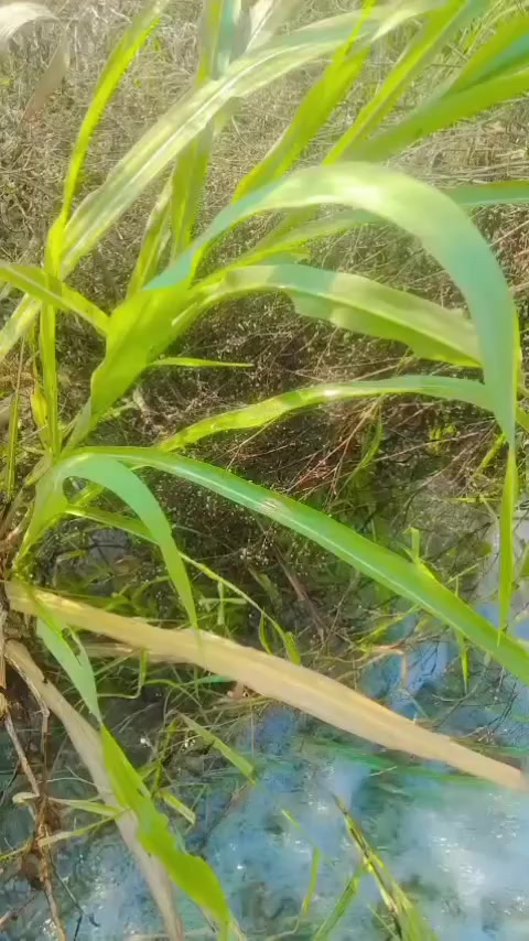 @soccersyhy