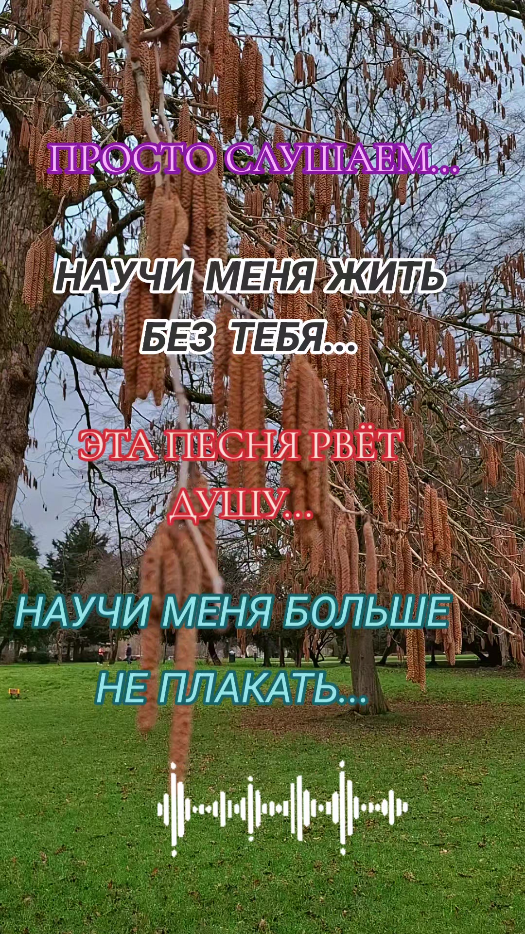 @Алёна А