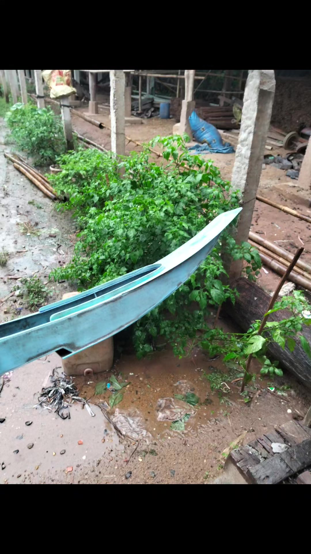 @ពូ រ៉ា