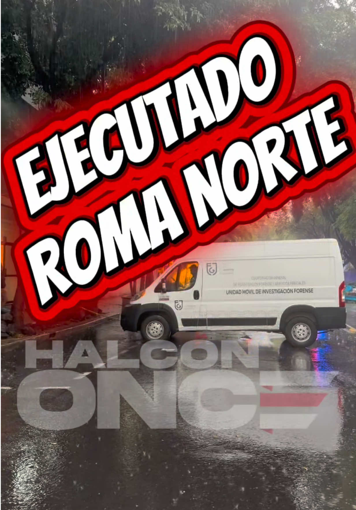 @HalconOnce