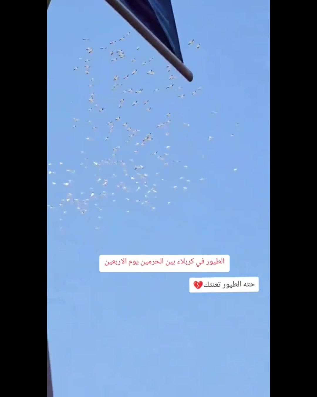 @Ali Al-Sarkhi