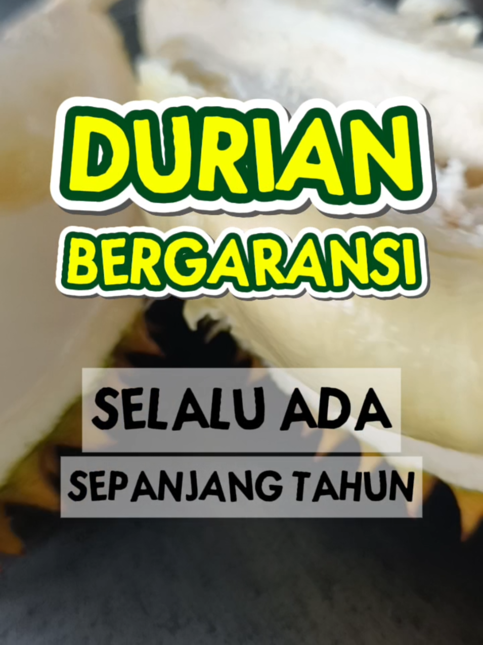 @Eliya Didik