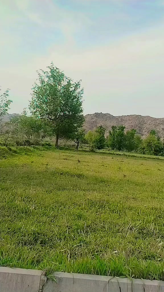 @Sair😈 Ghouri✌