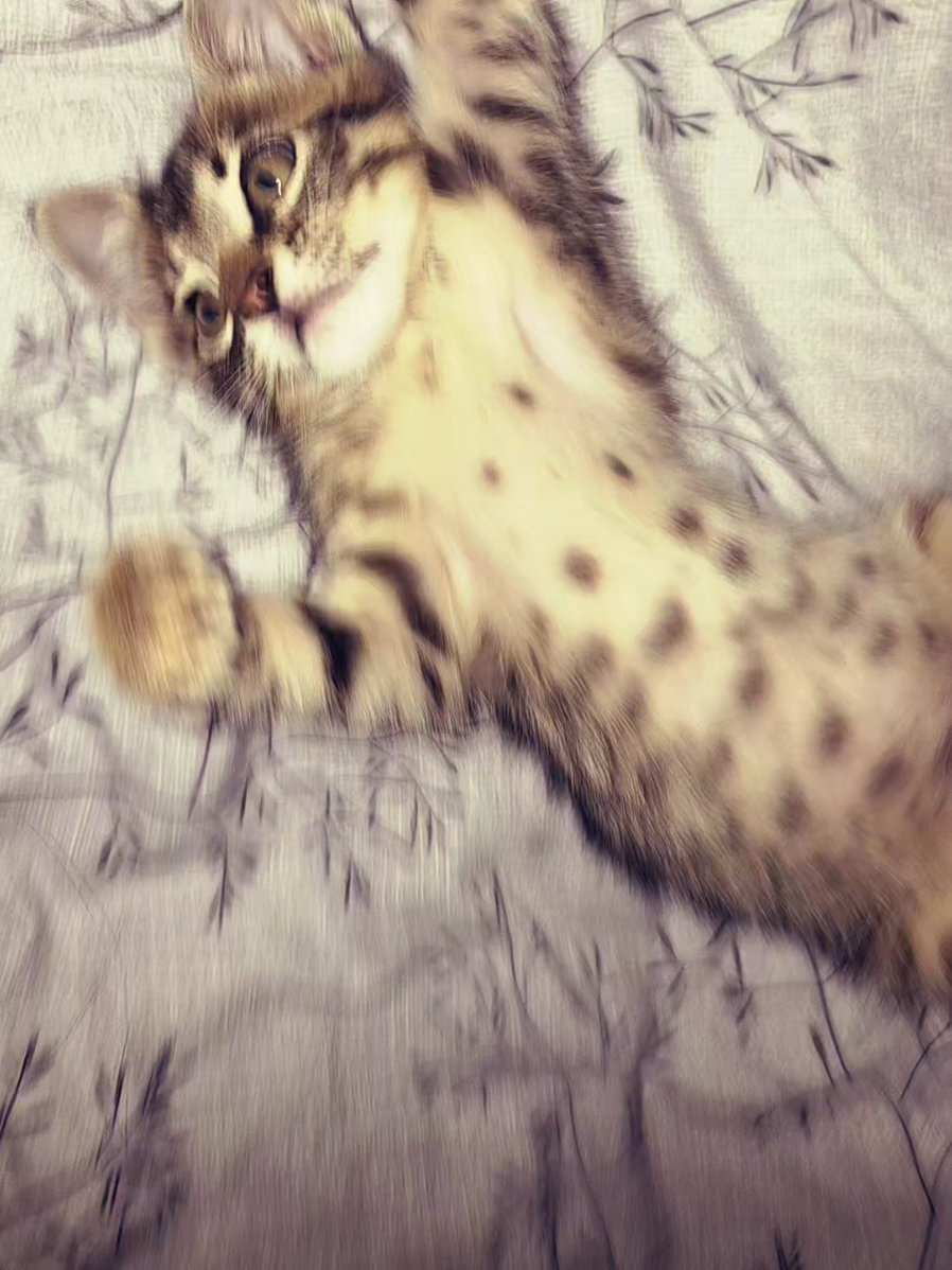 @лерабоб