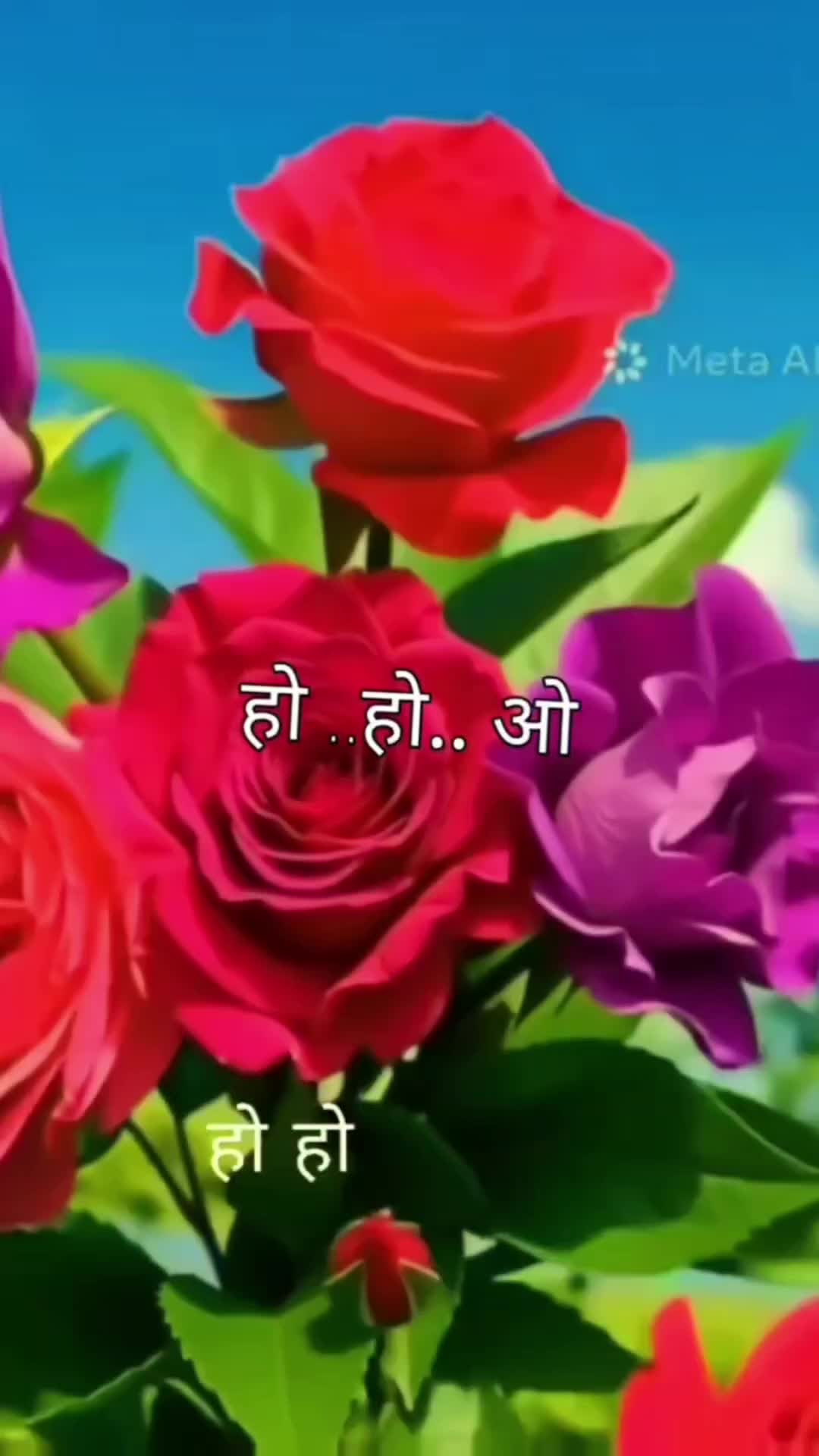 @dhakalbhujel789