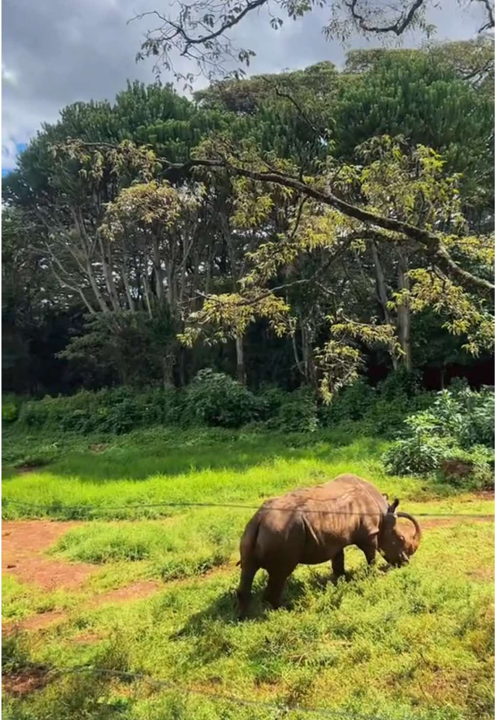 @Wanjira
