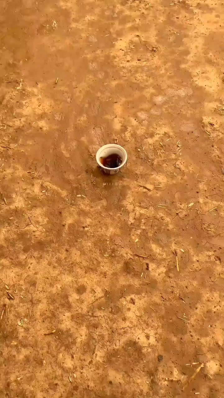 @معتز التعمري 501📆