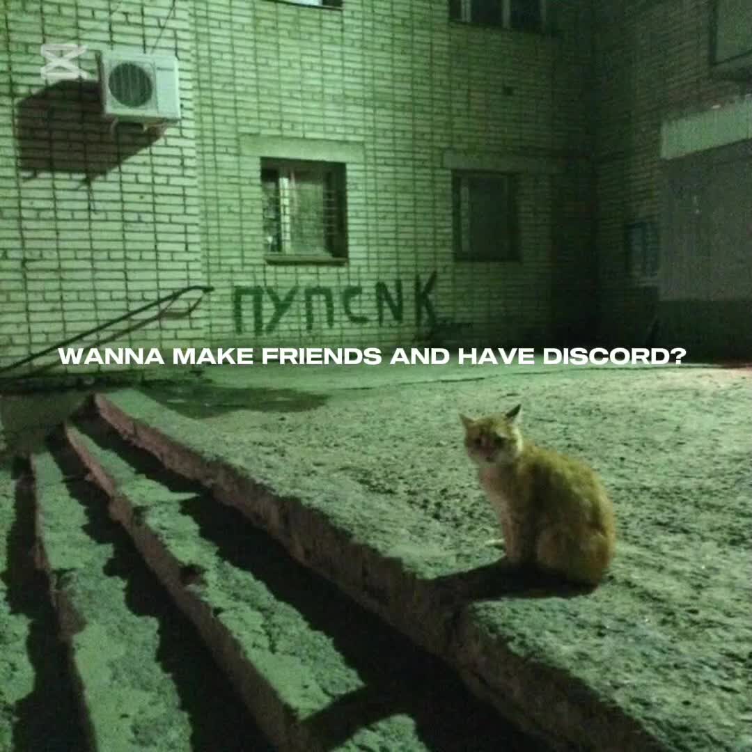 @𝐵𝑙𝑜𝑜𝑚𝑒𝑟𝑠 ྀི&bull; ༝ &bull;