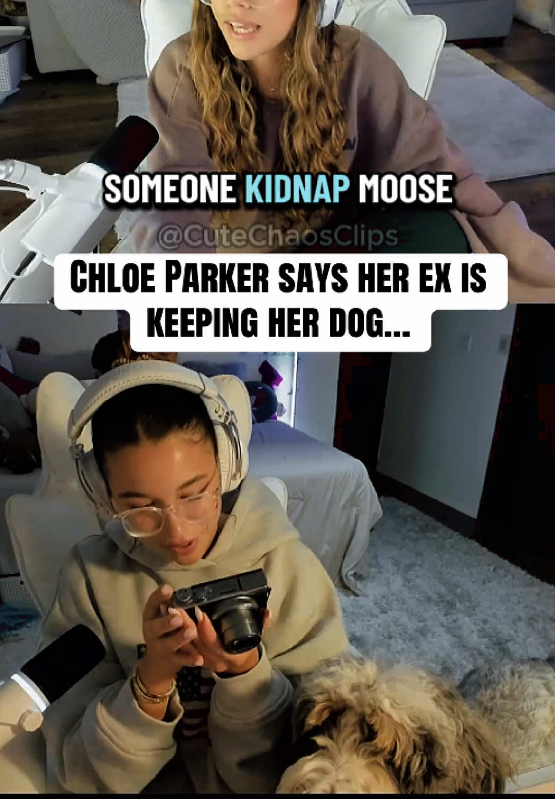 @CuteChaosClips