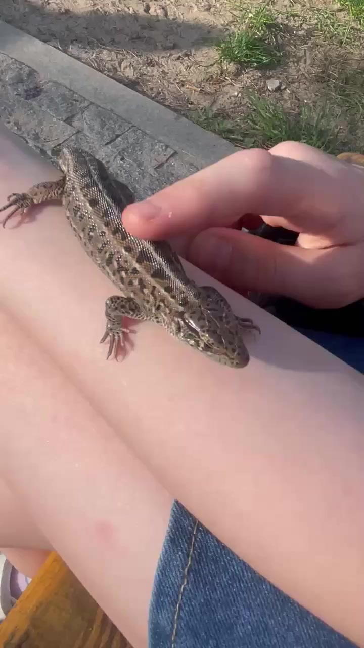 @ⲙᥲρυⲭ𐔤ᥲⲏᥲ ˶o̴̶̷᷄‸o̴̶̷̥᷅˶