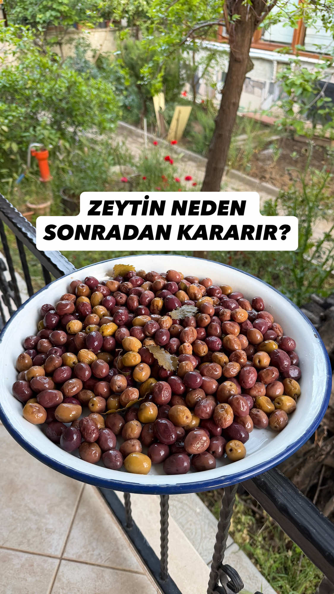 @Erdem &Ouml;ner
