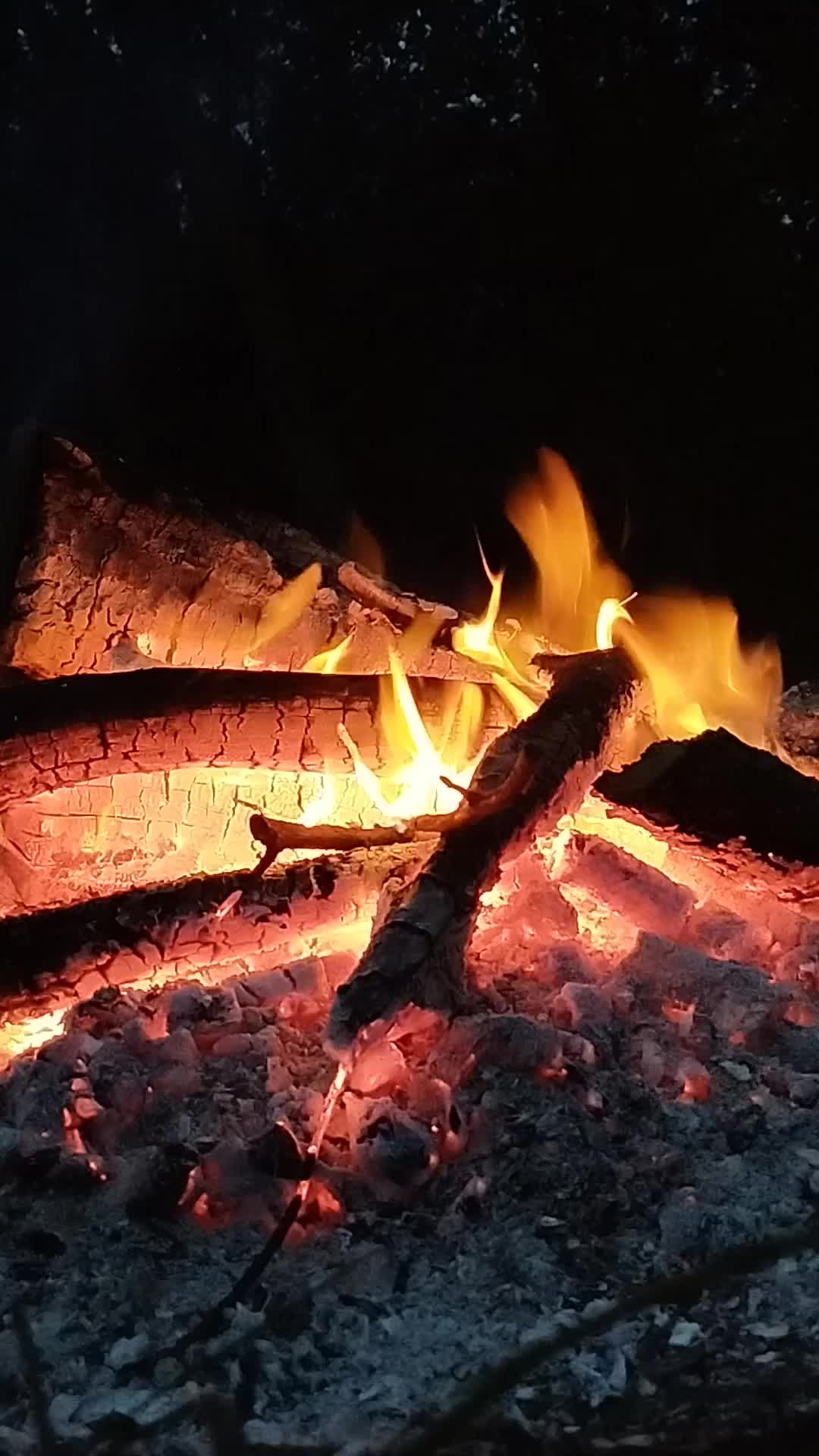 @Екатеринушка🐦🔥