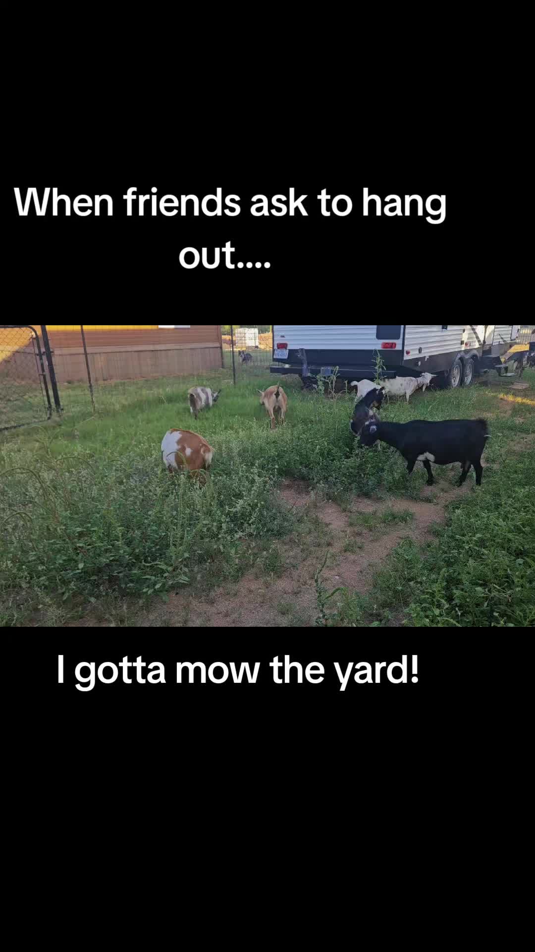@Ashley Noe