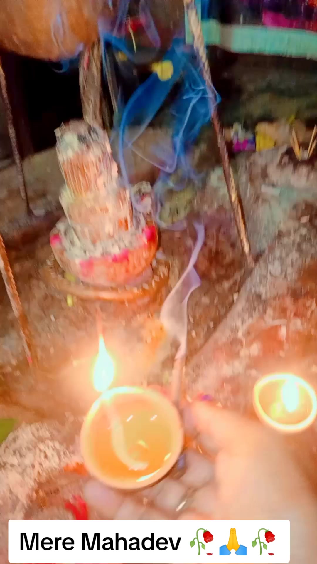 @SharbanSunitaRoyYadav861🤞❣