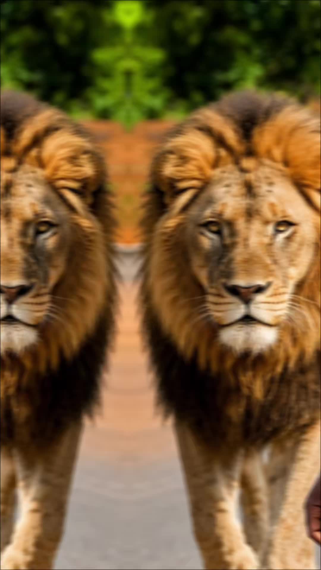 @KING 🥷D&Eacute;PUTE 🥷officiel☠️🇧🇫